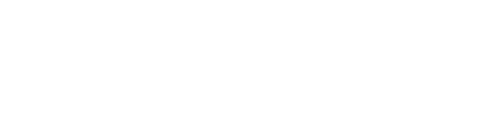 Dinant Logo